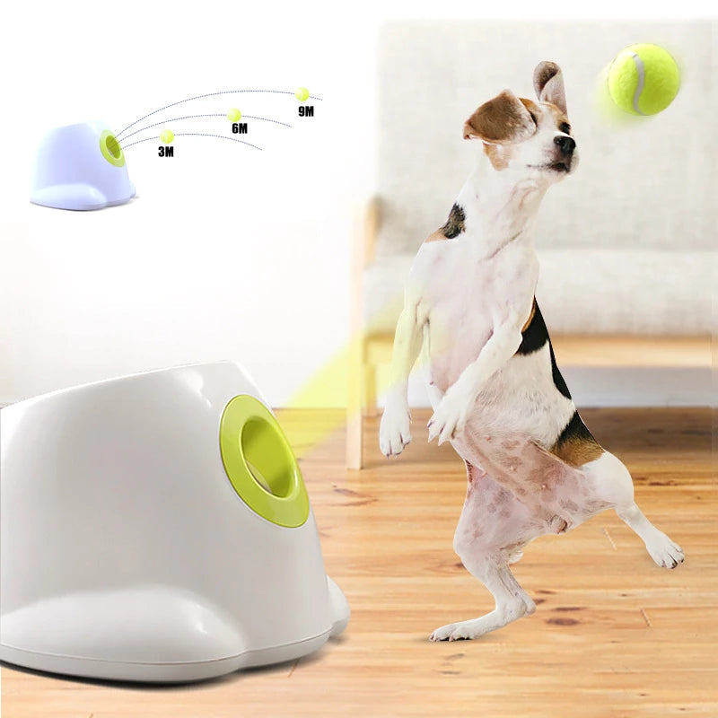 Automatic Tennis Ball Launcher™ 50% OFF - My Fun Gadgets