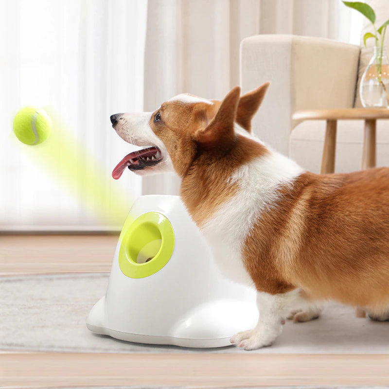 Automatic Tennis Ball Launcher™ 25% OFF - My Fun Gadgets