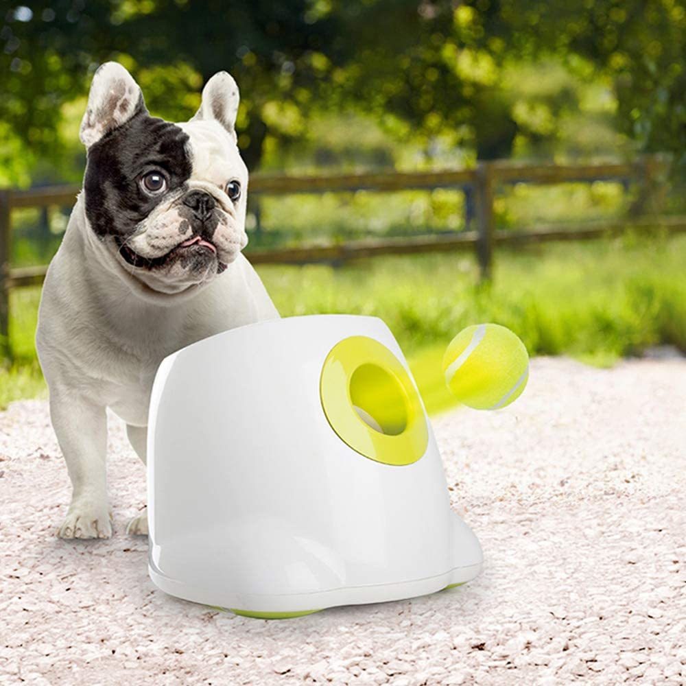 Automatic Tennis Ball Launcher™ 25% OFF - My Fun Gadgets